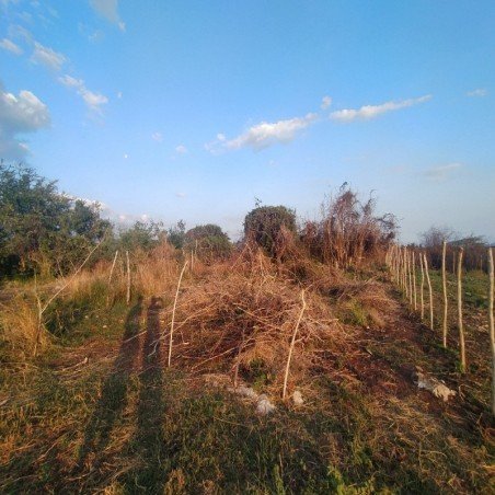 Se vende Terreno en la...