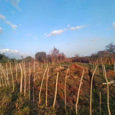 Se vende Terreno en la...